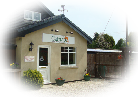 Catnaps cattery front office